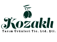 kozakli